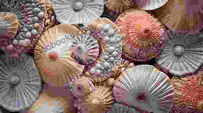 A Close Up Photograph Of A Variety Of Seashells, Showcasing Their Intricate Patterns And Vibrant Colors. Seashell Beauty And The Concept Of Nature At Play