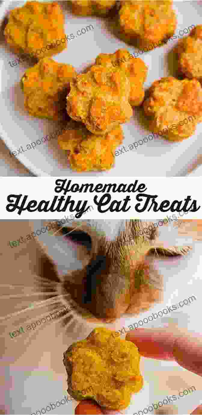 A Close Up Shot Of A Plate Of Homemade Pumpkin Cat Treats, Shaped Like Tiny Pumpkins And Adorned With Sprinkles Of Catnip. The Great Pumpkin Recipe Cookbook For Dogs And Cats: Homemade Heathy Treats For Weight Loss Constipation Immune Support Moisture