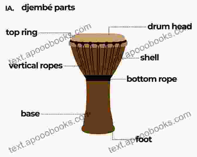 A Diagram Of A Djembe, Illustrating Its Key Components The Djembe Owner S Manual