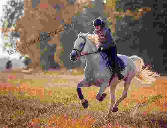 A Horse And Rider Galloping Through A Field Ride Like An Indian (Maddie S Magic Markers 2)