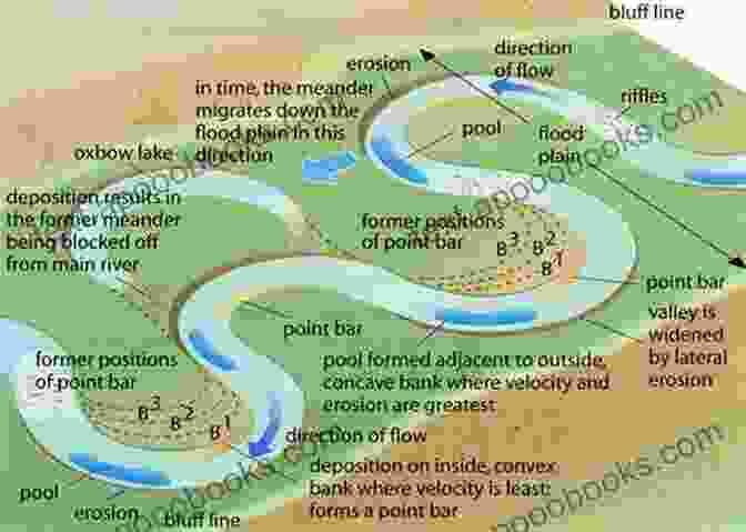 A Meandering Riverbanks Alive With Avian Activity. The North Carolina Birding Trail: Mountain Trail Guide