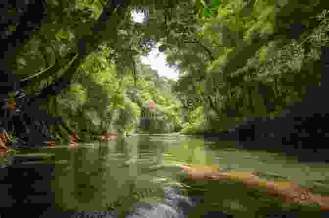 A Panoramic View Of The Breathtaking Paradise Setting Depicted In The Novel, With Lush Greenery, Sparkling Waters, And Distant Mountain Peaks. Paradise Victoria Redel