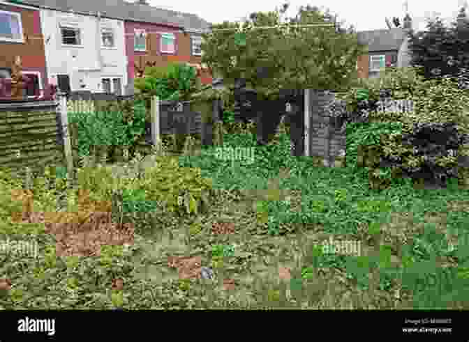 A Photo Of An Overgrown And Neglected Backyard, Symbolizing The Decline Of Outdoor Living Spaces. The Life And Death Of The Australian Backyard