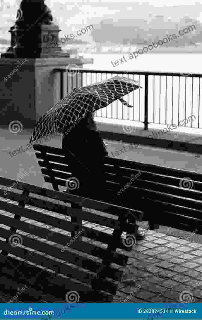 A Solitary Figure Sitting On A Park Bench, Deep In Contemplation Mr Memory Other Poems (Penguin Poets)