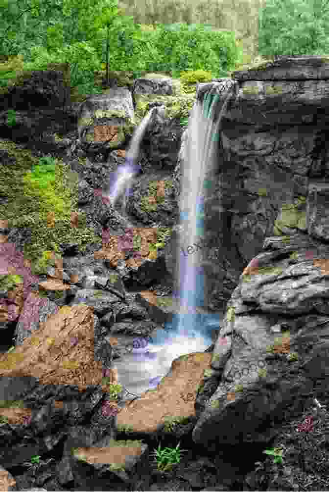 A Vintage Postcard Featuring The Waterfall In Garvan Woodland Gardens Hot Springs Arkansas In Vintage Postcards (Postcard History Series)