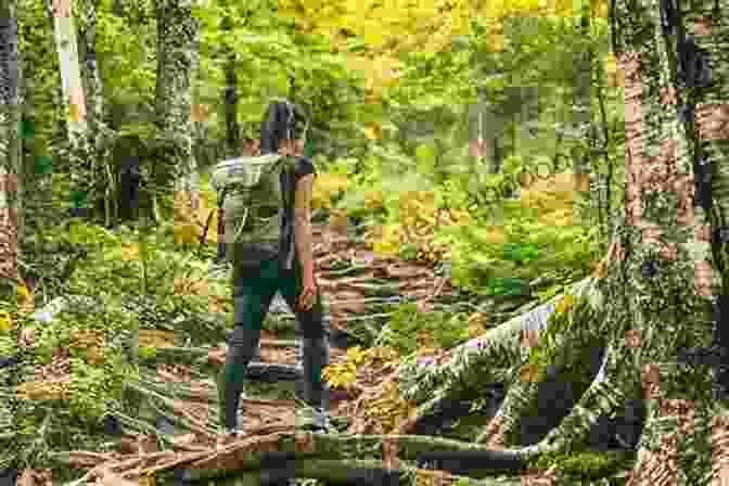 A Woman Hiking Through A Forest, Surrounded By Blooming Flowers The Universe Of Us (Lang Leav 4)