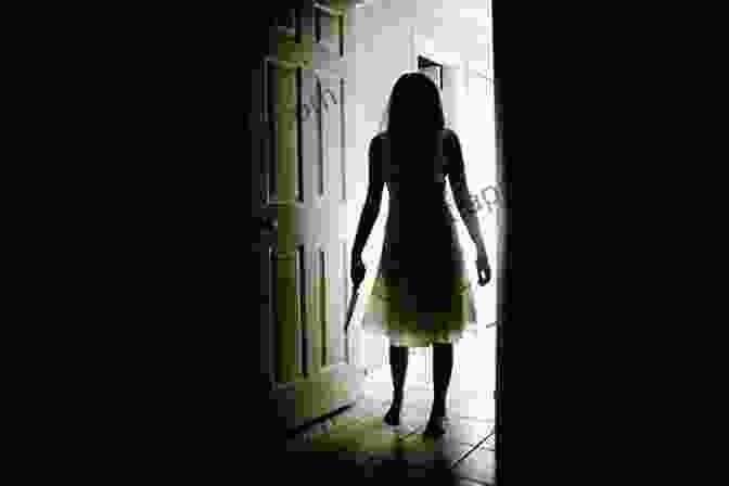 A Woman Stands In A Dark Room, Her Shadow Looming Behind Her. The Woman In The Mirror: A Novel