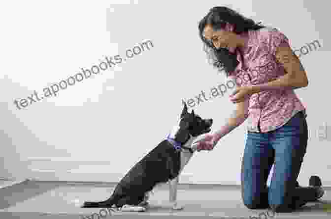 A Woman Training A Dog How To Train Your Human