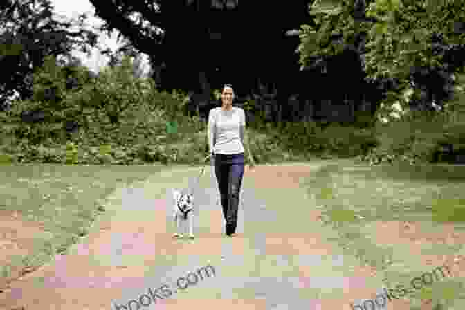 A Woman Walking Her Dog Confidently In A Park Inspiring Resilience In Fearful And Reactive Dogs