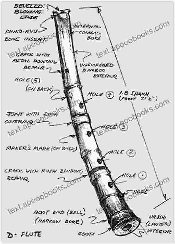 An Illustration Of The Shakuhachi, Showing Its Structure And Keyholes The Single Tone: A Personal Journey Into Shakuhachi Music