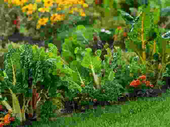 An Image Of A Beautiful Edible Landscape Garden With Raised Beds, Flowers, And Vegetables Edible Landscaping: Where To Begin? (Beautiful Food Gardening)