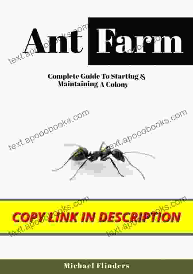 Author's Headshot Ant Farm: Complete Guide To Starting And Maintaining A Colony