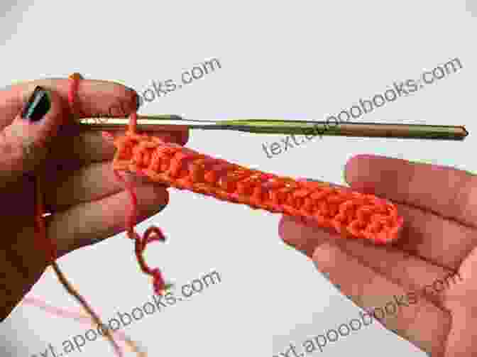 Basic Crochet Stitches: Chain, Single Crochet, Double Crochet, Half Double Crochet Crochet Basic Knowledge And Instructions: Detail Tutorial And Demonstration To Basic Crochet Technique