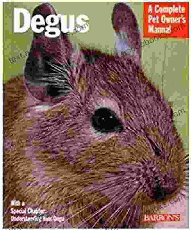 Book Cover Of Degus As Pet Degus Complete Pet Owners Manual DEGUS AS PET: Degus Complete Pet Owners Manual