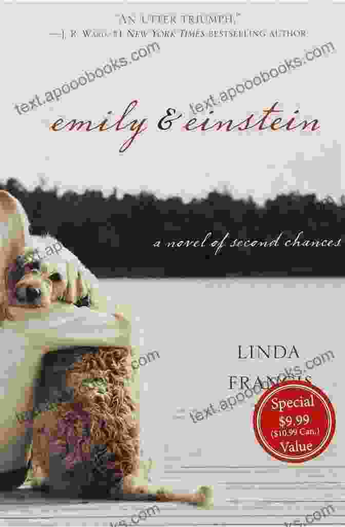 Book Cover Of Emily Einstein Novel Of Second Chances Emily Einstein: A Novel Of Second Chances