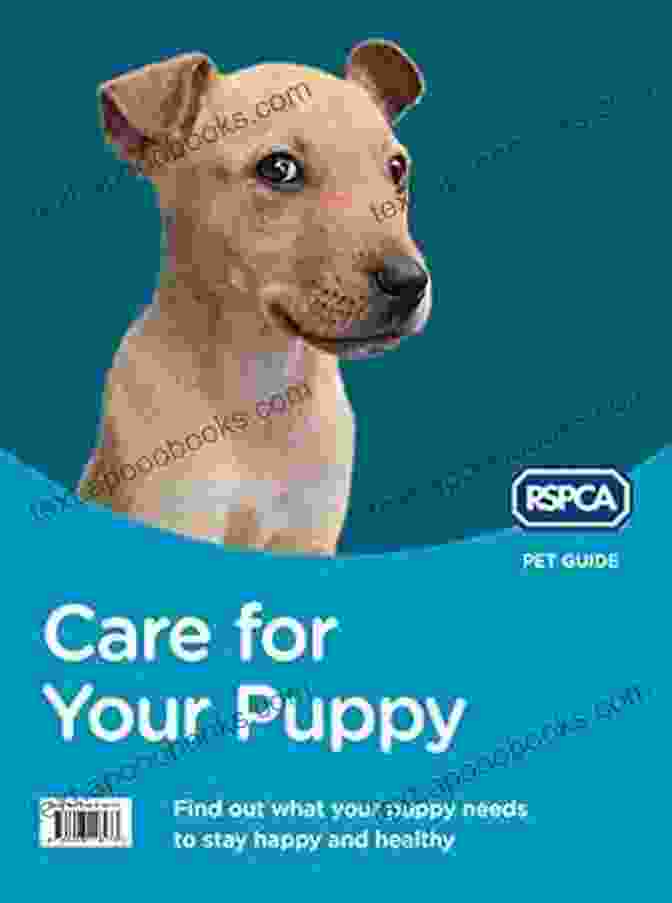 Care For Your Puppy RSPCA Pet Guide Care For Your Puppy (RSPCA Pet Guide)