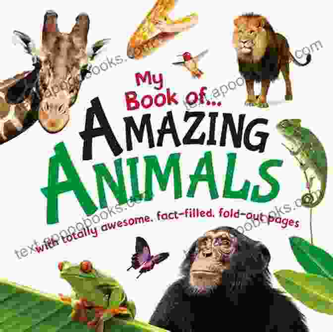 Collection Of Amazing Animals Book Cover Collection Of Amazing Animals