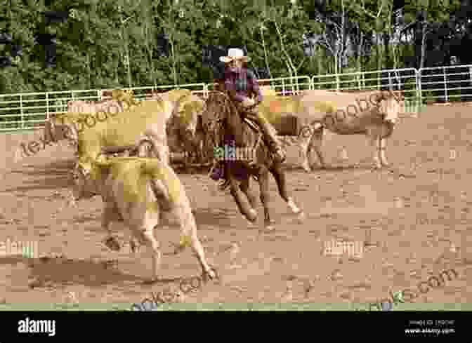 Cutting Horse Separating A Cow From The Herd Cross Training 101 Reining Cutting Cow Horse