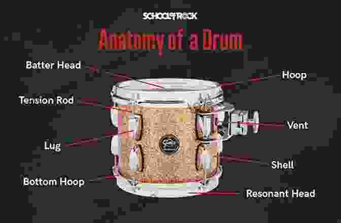 Detailed Diagram Of A Drum, Showcasing The Drumhead, Shell, And Hardware Components How To Tune The Drum: Start Learning To Play Professionally Drum: Musical Instrument Guide