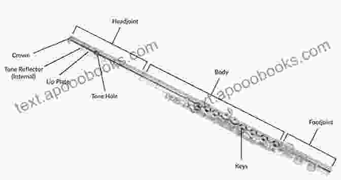 Diagram Of The Flute Anatomy Learn To Play The Flute 1