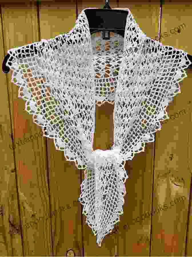 Elegant Crochet Lace Shawl CROCHET FOR BEGINNERS: Your First Guide To Learn Crochet With Fun And Realize Your Projects With Easy Patterns And Stitches (Handmade Creation 1)