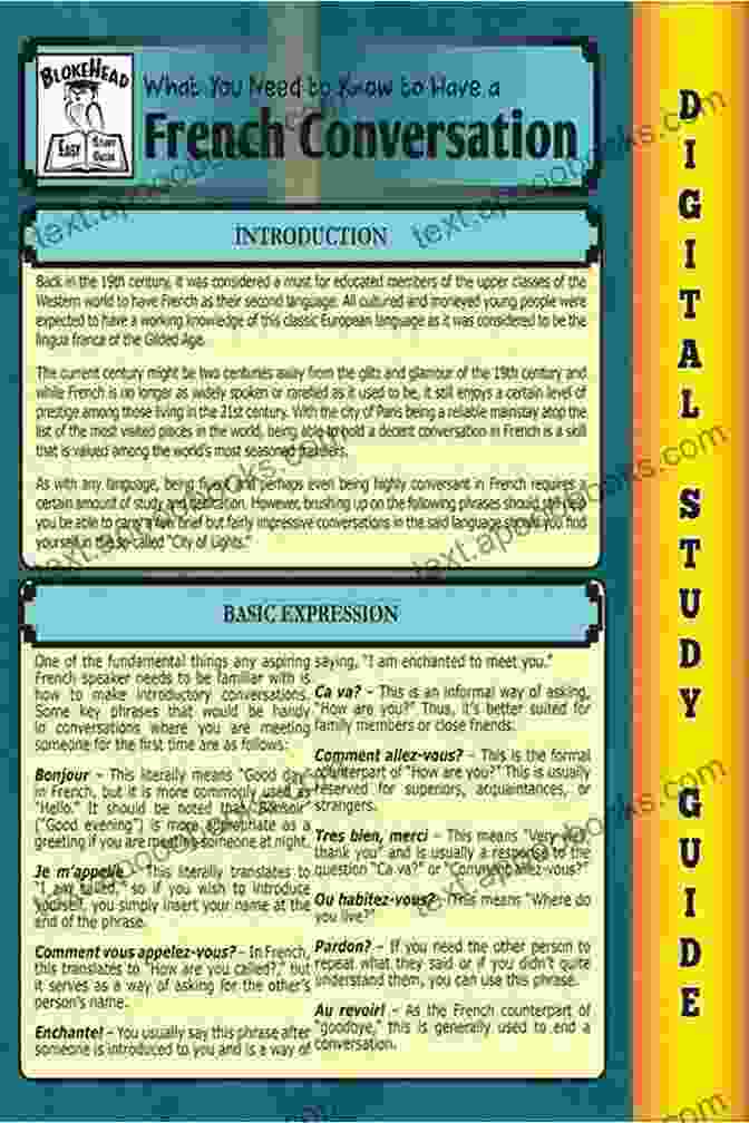 French Conversation Blokehead Easy Study Guide: Unlock The Secrets Of French Conversation French Conversation ( Blokehead Easy Study Guide)