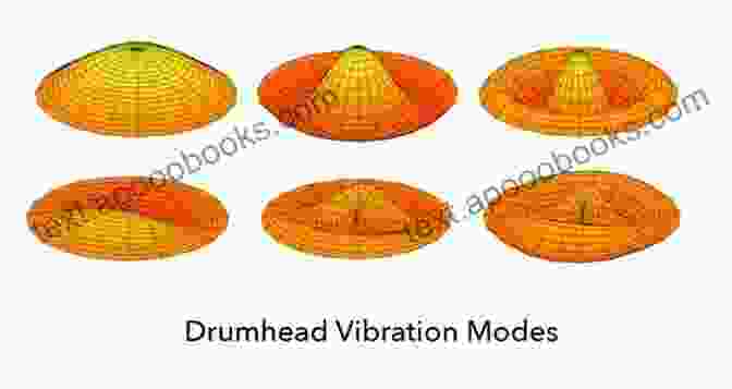 Illustration Of Sound Waves Propagating Through A Drumhead, Demonstrating How Vibrations Create Sound How To Tune The Drum: Start Learning To Play Professionally Drum: Musical Instrument Guide