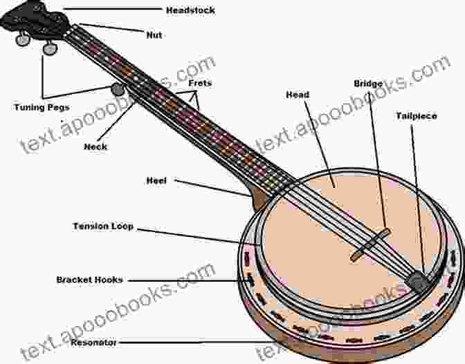 Image Of A Bluegrass Banjo With Labeled Parts And Fingering Positions Getting Into Bluegrass Banjo