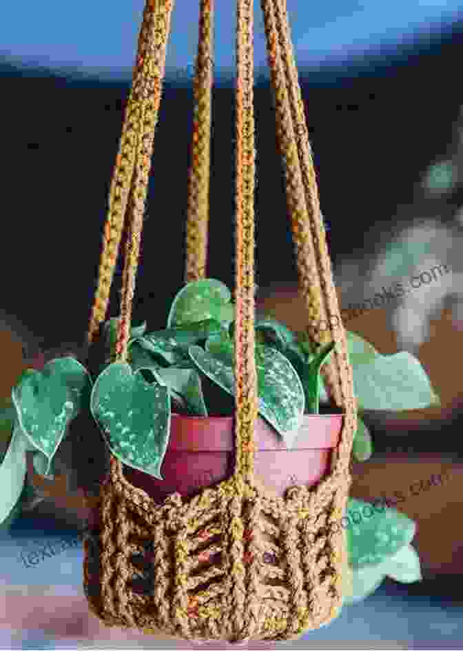 Image Of A Large Crochet Basket Used As A Planter For Indoor Plants Modern Basket Crochet Pattern: Stunning And Amazing Ideas To Crochet Your Own Basket