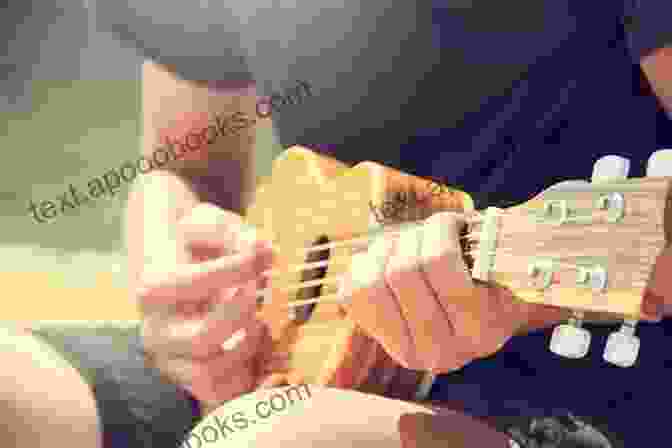 Person Playing Ukulele With Focus On Hands On The Instrument Music Theory Bundle Of 2 7 Easy Steps To Read Music Circle Of 5ths Music Resource Book: Music Resource For Piano Guitar Ukulele Players