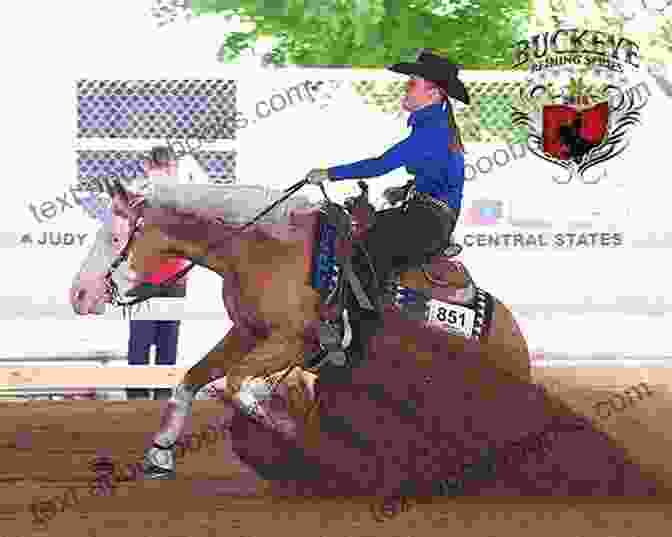 Reining Horse Performing A Sliding Stop Cross Training 101 Reining Cutting Cow Horse