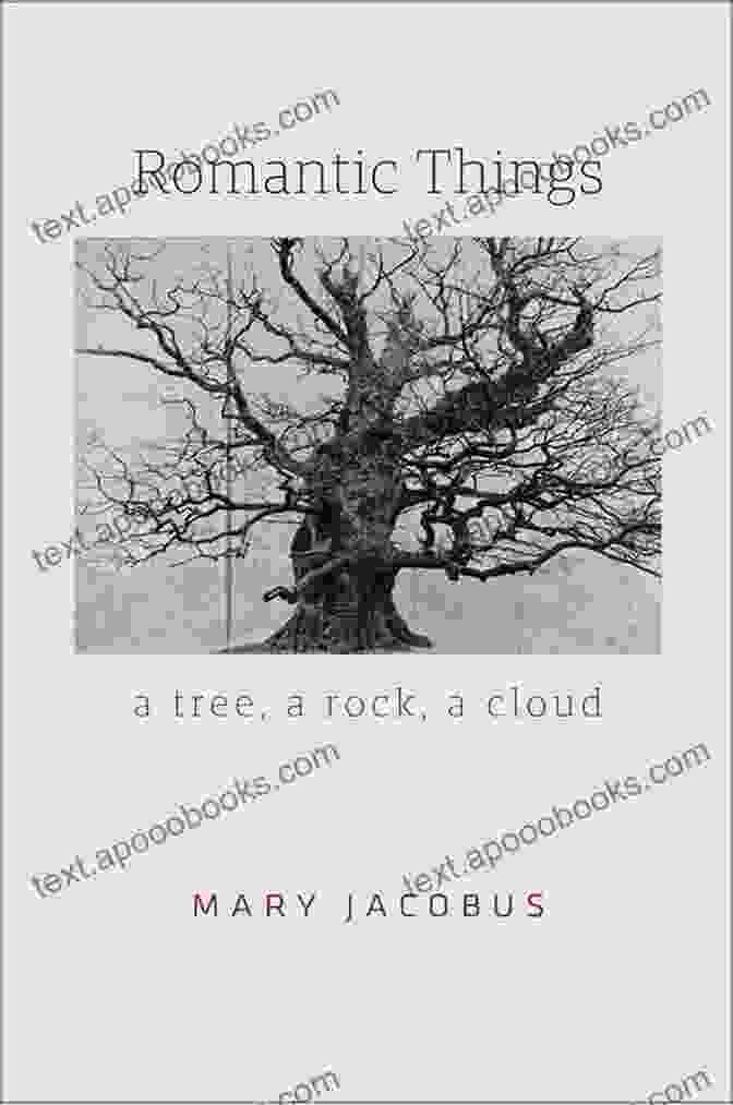 Romantic Things Tree Rock Cloud Book Cover Romantic Things: A Tree A Rock A Cloud