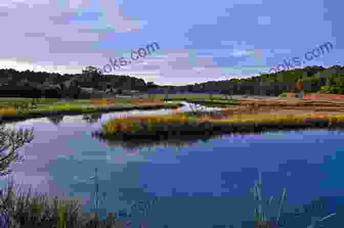 Secluded Cove With Abundant Wildlife On The Chesapeake Western Shore Chesapeake S Western Shore: Vintage Vacationland (Images Of America)