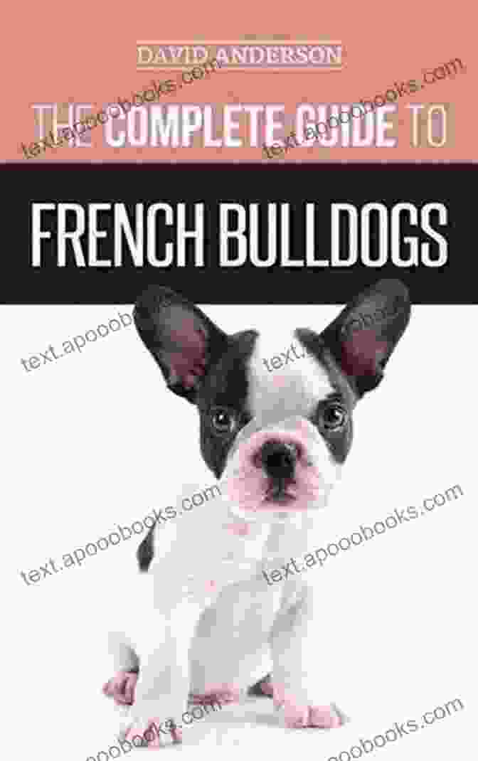 The Complete Guide To French Bulldogs The Complete Guide To French Bulldogs: Everything You Need To Know To Bring Home Your First French Bulldog Puppy