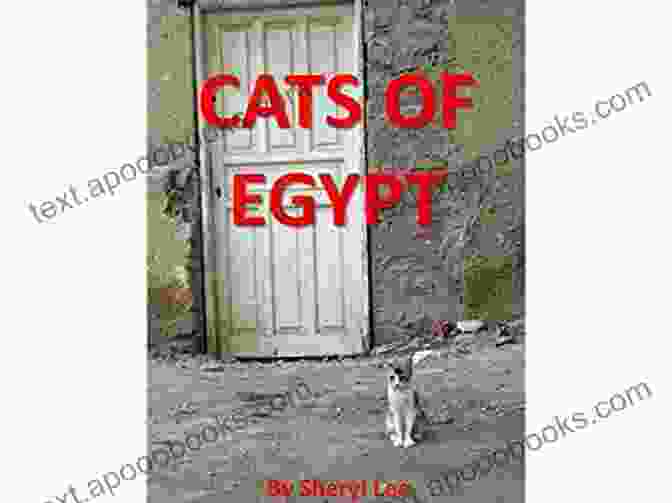 The Cover Of Cats Of Egypt By Sheryl Lee Cats Of Egypt Sheryl Lee