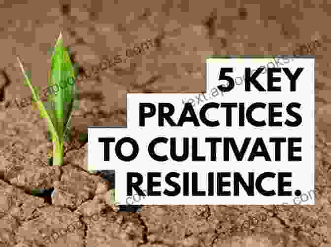 The Mindset Of Resistance: Embracing Challenges, Cultivating Resilience, Empowering Success The Mindset Of Resistance: Saying No To Tyranny In An Effective Way