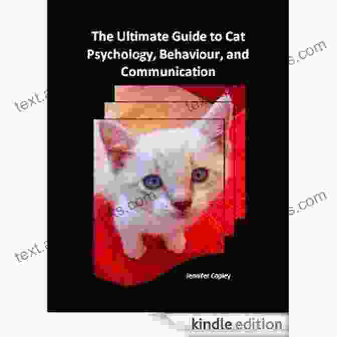 The Ultimate Guide To Cat Psychology, Behaviour, And Communication The Ultimate Guide To Cat Psychology Behaviour And Communication