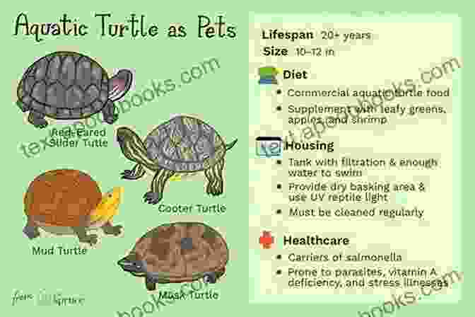 Troubleshooting Plant Problems AQUATIC TURTLE: The Beginners Care Guide And Manual On Everything You Need To Know About Aquatic Turtle