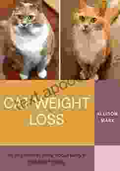 Cat Weight Loss : All You Need To Know About Weight Loss Diet For Cat