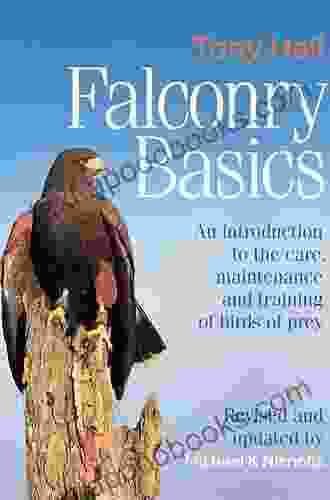 Falconry Basics: An Introduction To The Care Maintenance And Training Of Birds Of Prey