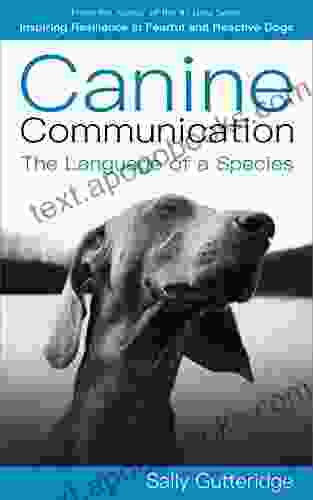 Canine Communication: The Language of a Species