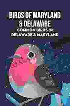 Birds Of Maryland Delaware: Common Birds In Delaware Maryland: Common Birds In Delaware Maryland