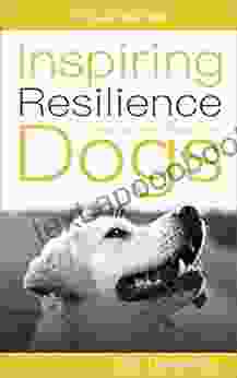 Inspiring Resilience in Fearful and Reactive Dogs