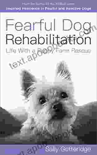 Fearful Dog Rehabilitation: Life With a Puppy Farm Rescue