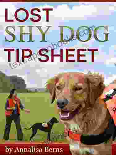 Lost Shy Dog Tip Sheet: How to Find a Roaming Dog