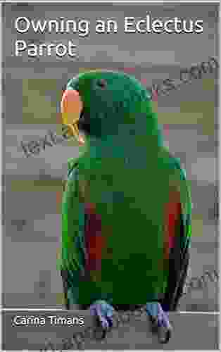 Owning an Eclectus Parrot