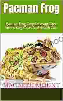 Pacman Frog : Pacman Frog Care Behavior Diet Interacting Costs And Health Care