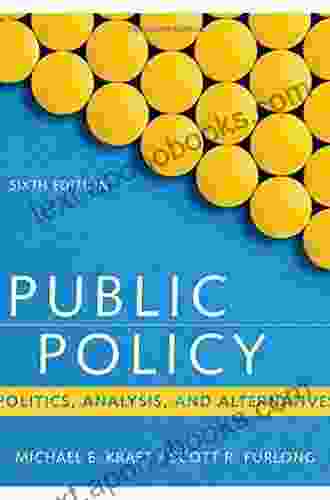 Public Policy: Politics Analysis And Alternatives