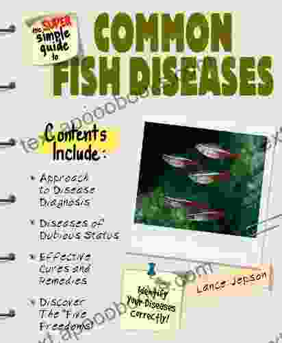 Super Simple Guide To Common Fish Diseases