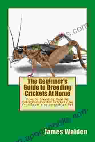 The Beginner s Guide to Breeding Crickets At Home: How to Breeding Healthy Nutritious Feeder Crickets for Your Reptile or Amphibian Pet